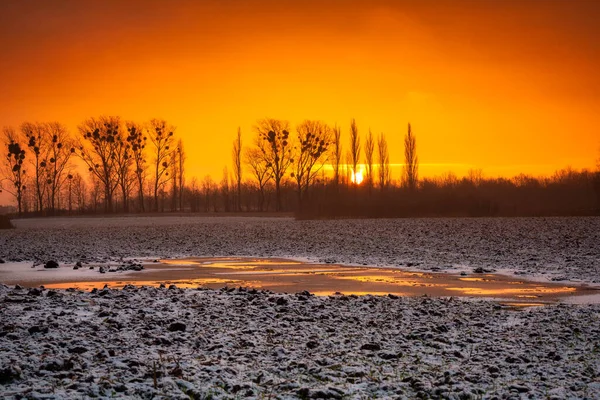 Nascer Sol Inverno Sobre Campo Nevado — Fotografia de Stock