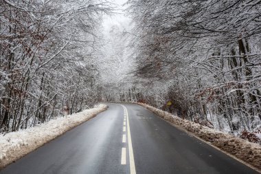 Cennet gibi kış manzarasında orman yolu.