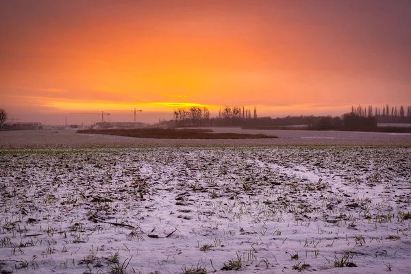 Wintersonnenaufgang Über Einem Verschneiten Feld Polen — Stockfoto