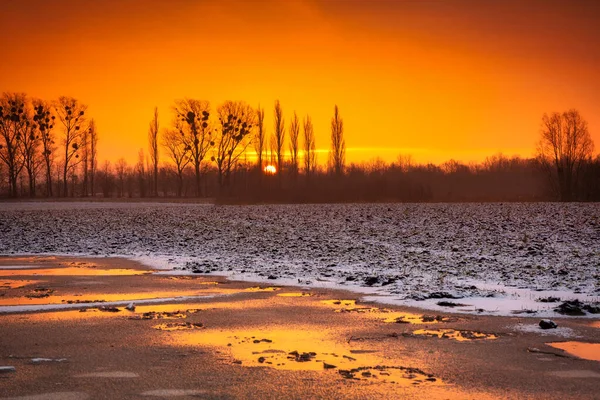 Salida Del Sol Invernal Sobre Campo Nevado Polonia — Foto de Stock