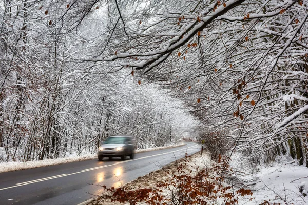 牧歌的な冬の風景の中に森の道 — ストック写真
