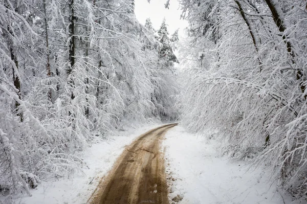 Vue Aérienne Route Dans Paysage Hivernal Idyllique Pologne — Photo