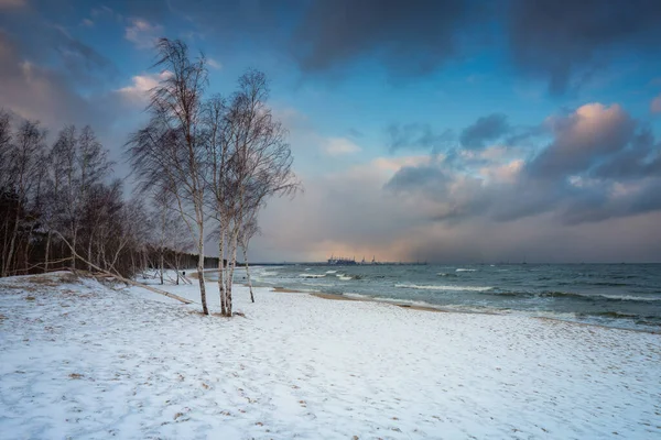 Paesaggio Invernale Una Spiaggia Innevata Nel Mar Baltico Danzica Polonia — Foto Stock