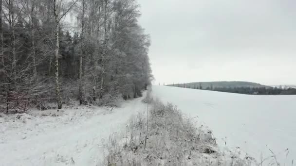 Paisagem Aérea Inverno Com Floresta Nevada Polónia — Vídeo de Stock