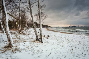 Gdansk 'ta Baltık Denizi' nde karla kaplı bir plajın kış manzarası. Polonya