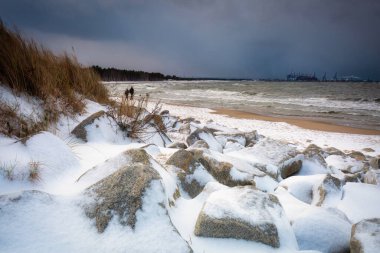 Gdansk 'ta Baltık Denizi' nde karla kaplı bir plajın kış manzarası. Polonya