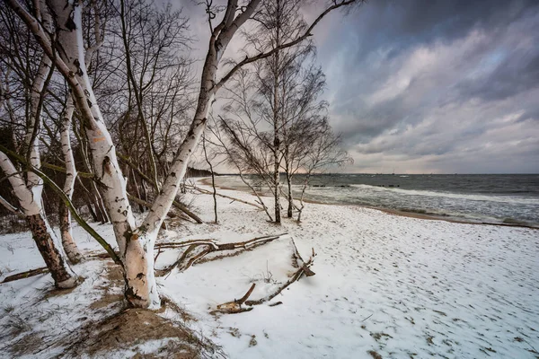 グダニスクのバルト海で雪に覆われたビーチの冬の風景 ポーランド — ストック写真