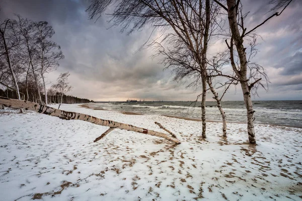 Зимний Пейзаж Заснеженного Пляжа Балтийском Море Гданьске Польша — стоковое фото
