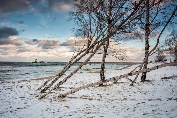 Paisaje Invernal Una Playa Cubierta Nieve Mar Báltico Gdansk Polonia —  Fotos de Stock