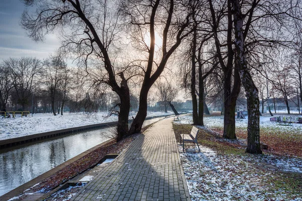 Kış Parkındaki Radunia Nehrinin Oradaki Patikada Pruszcz Gdanski Polonya — Stok fotoğraf