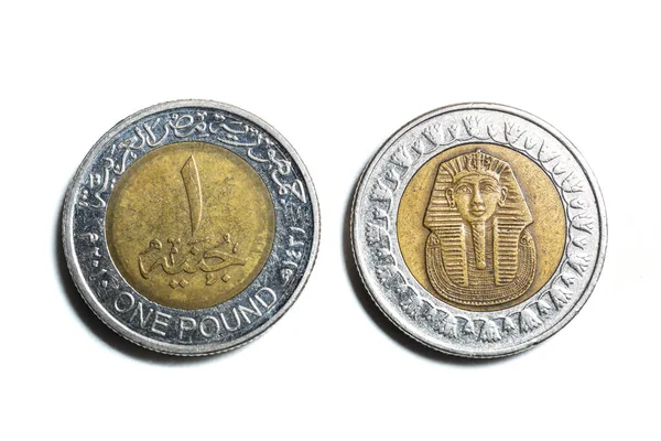 Egyptian Pound Coin Avers Reverse — Stock Photo, Image