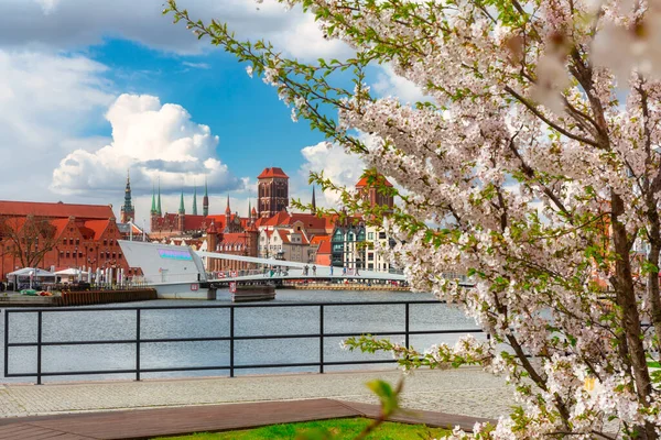 Vårlandskapet Den Gamla Staden Gdansk Runt Blommande Träd Polen — Stockfoto