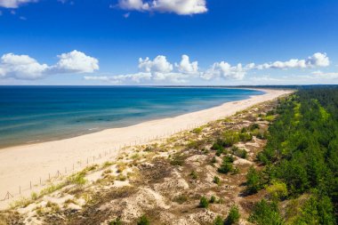Yazın Sobieszewo, Polonya 'da Baltık Denizi sahilinin güzel manzarası