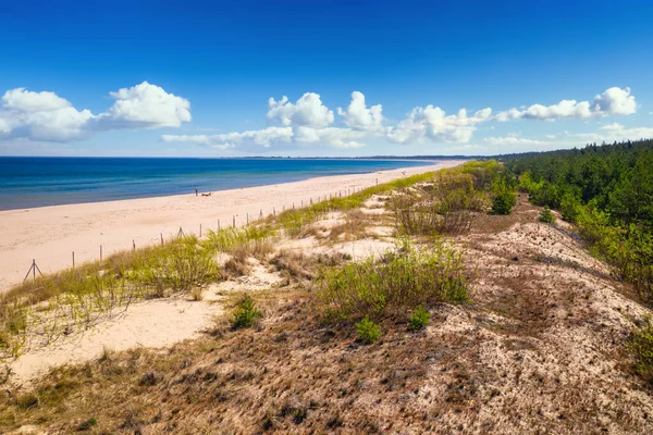 Bellissimo Scenario Della Spiaggia Del Mar Baltico Sobieszewo Estate Polonia — Foto Stock