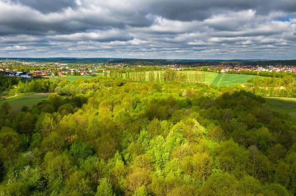 Hermoso Paisaje Del Bosque Polonia Primavera — Foto de Stock