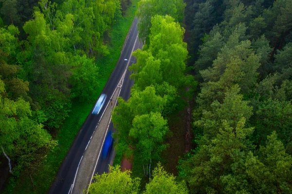 Tramonto Sulla Foresta Alla Tricity Beltway Polonia — Foto Stock