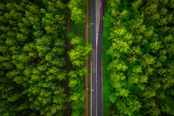 Vista Aerea Dall Alto Della Strada Attraverso Foresta Verde Estate — Foto Stock