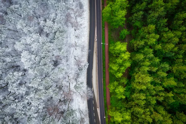 Letecký Pohled Cestu Lesem Létě Zimě — Stock fotografie