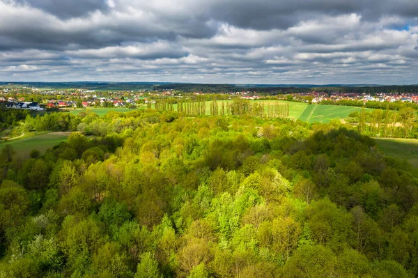 Baharda Polonya Ormanın Güzel Manzarası — Stok fotoğraf