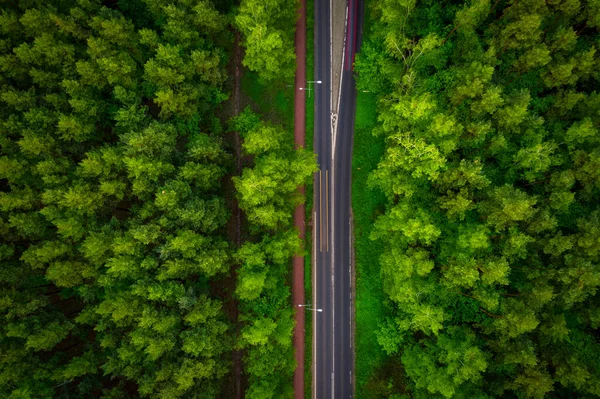Luftaufnahme Der Straße Durch Den Grünen Wald Sommer — Stockfoto