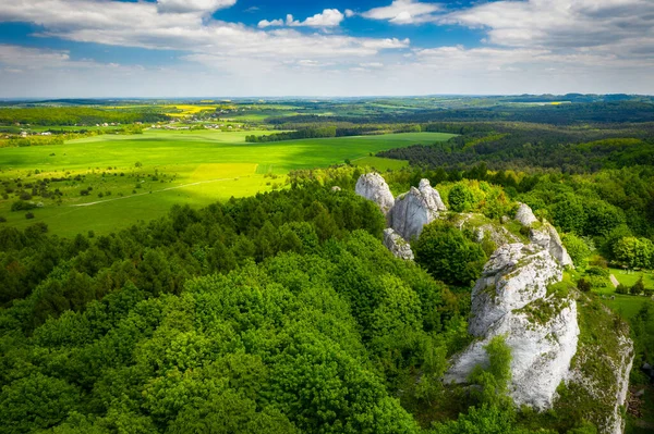 Prachtig Landschap Van Het Poolse Jurassic Highland Zomer Polen — Stockfoto