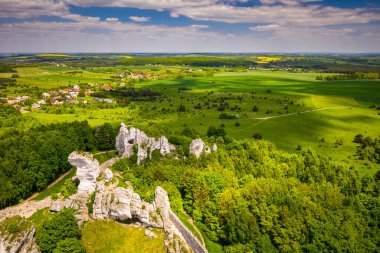 Polonya 'nın Jurasik Dağları' nın güzel manzarası, Polonya