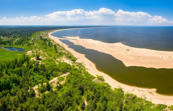 Panorama Över Östersjön Stranden Sobieszewo Sommaren Polen — Stockfoto