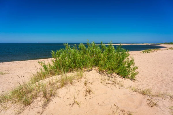 Bella Spiaggia Sul Mar Baltico Estate Polonia — Foto Stock