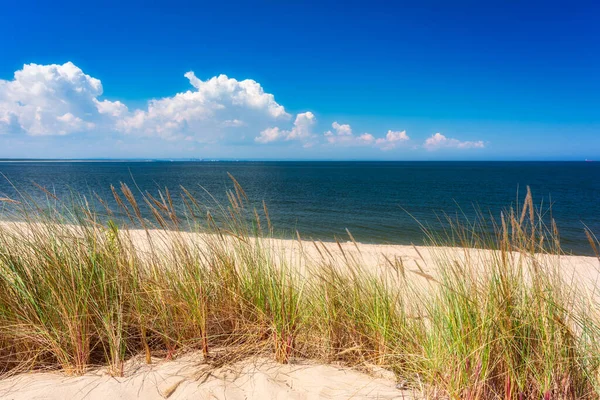 夏季波兰波罗的海美丽的海滩 — 图库照片