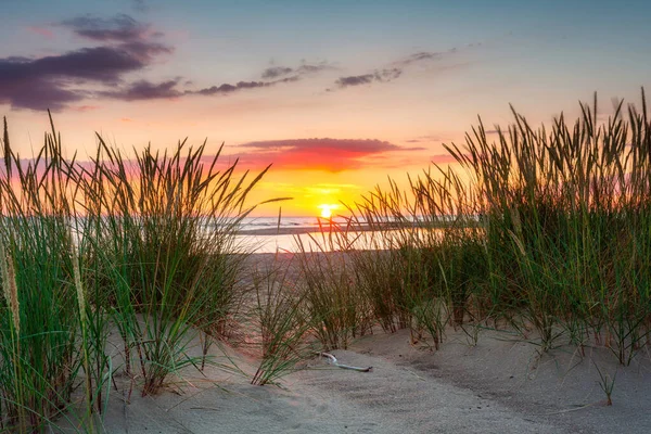 Vacker Solnedgång Stranden Sobieszewo Vid Östersjön Polen — Stockfoto
