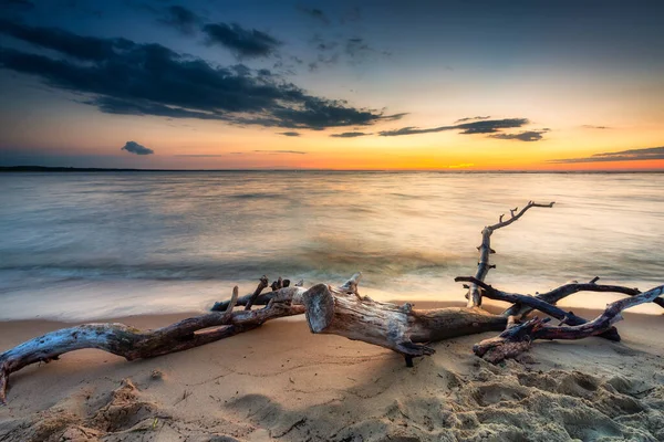 Piękny Zachód Słońca Plaży Wyspy Sobieszewo Nad Morzem Bałtyckim Polska — Zdjęcie stockowe