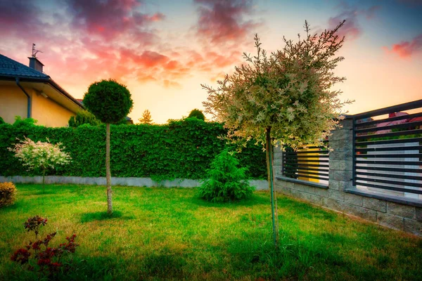 Jardín Parte Delantera Casa Con Pequeños Árboles Atardecer —  Fotos de Stock