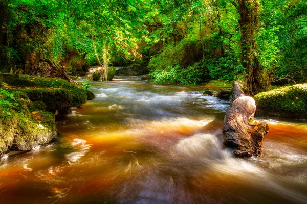 Belo Riacho Clare Glens Limerick Irlanda — Fotografia de Stock