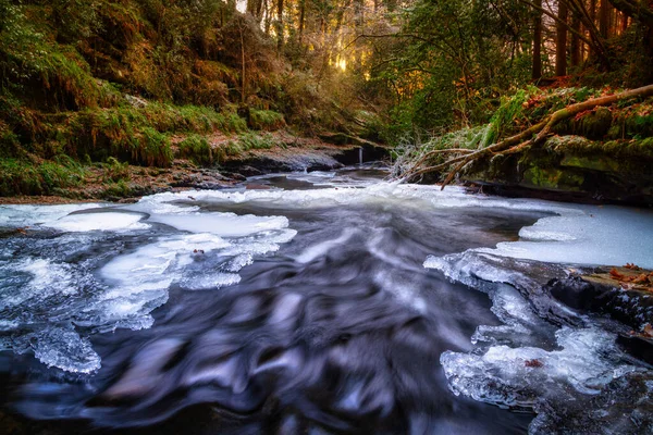 Ruisseau Gelé Clare Glens Dans Comté Tipperary Hiver Irlande — Photo