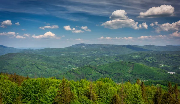Krásná Krajina Slezských Beskydů Pohoří Czantoria Wielka Polsko — Stock fotografie