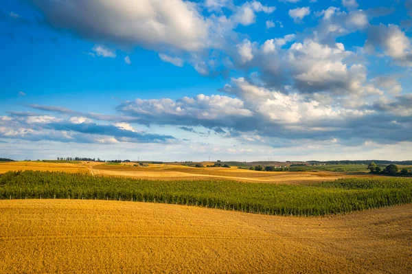 Hermoso Paisaje Campos Durante Cosecha Norte Polonia — Foto de Stock