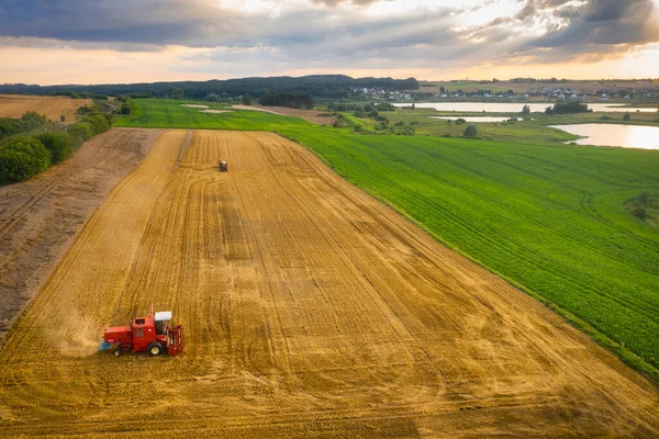 Kuzey Polonya 'da hasat zamanı güzel tarlalar.
