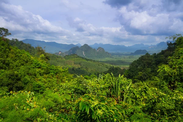 Floresta tropical do Parque Nacional Khao Sok — Fotografia de Stock