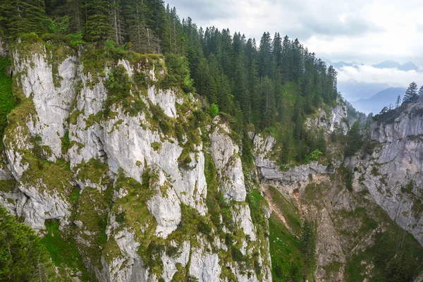 Idyllische Landschaft der bayerischen Alpen — Stockfoto