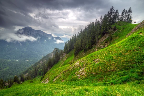 Sendero de montaña en los Alpes bávaros — Foto de Stock