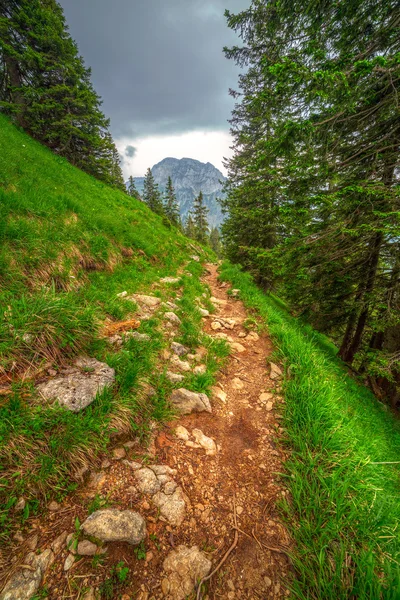 Sendero de montaña en los Alpes bávaros — Foto de Stock