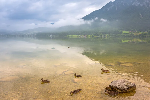 Landschaft der Alpen in Österreich — Stockfoto