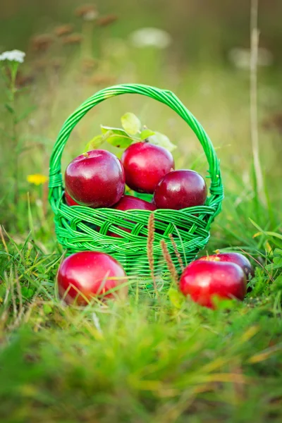 Manzanas rojas en la cesta — Foto de Stock