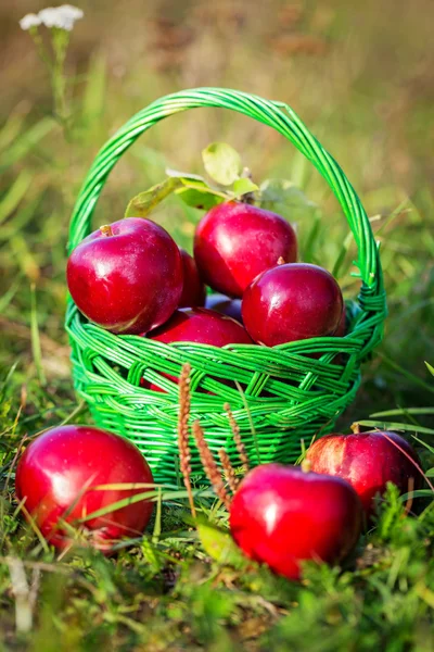 Manzanas rojas en la cesta —  Fotos de Stock