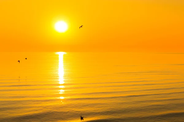 Salida del sol en el mar Báltico — Foto de Stock