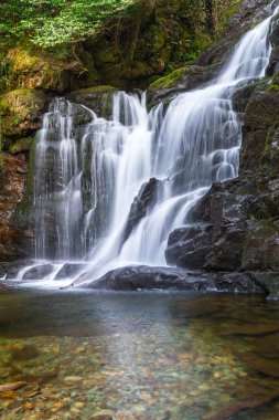 Killarney Ulusal Parkı 'nda Torc Şelalesi