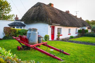 Cottage houses in Adare village, Ireland clipart