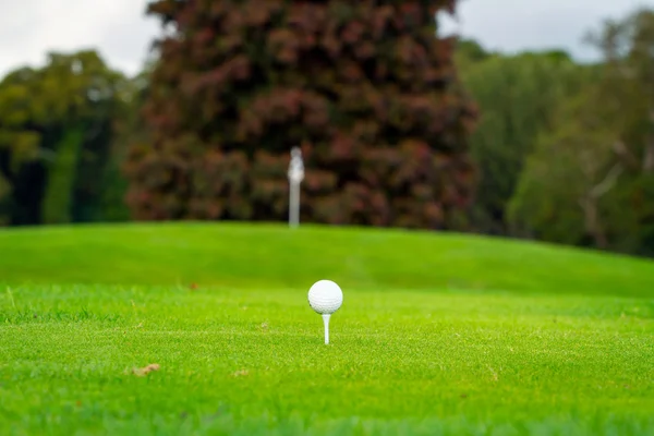 Golfboll på den gröna — Stockfoto