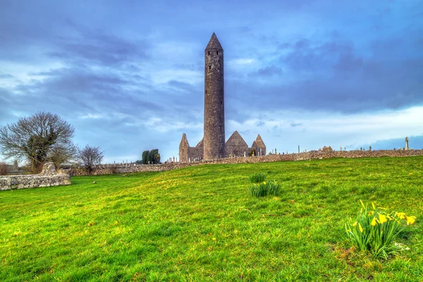 Kilmacduagh monastery with stone tower — Stock Photo, Image