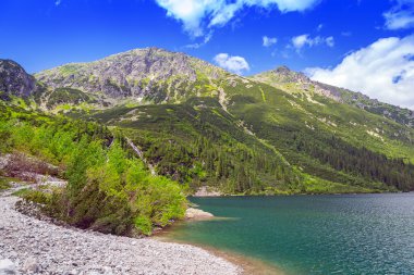 Polonya beutiful Tatra Dağları